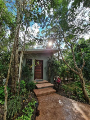 Secret Gardens Bacalar Suite 02 con alberca y bicicletas